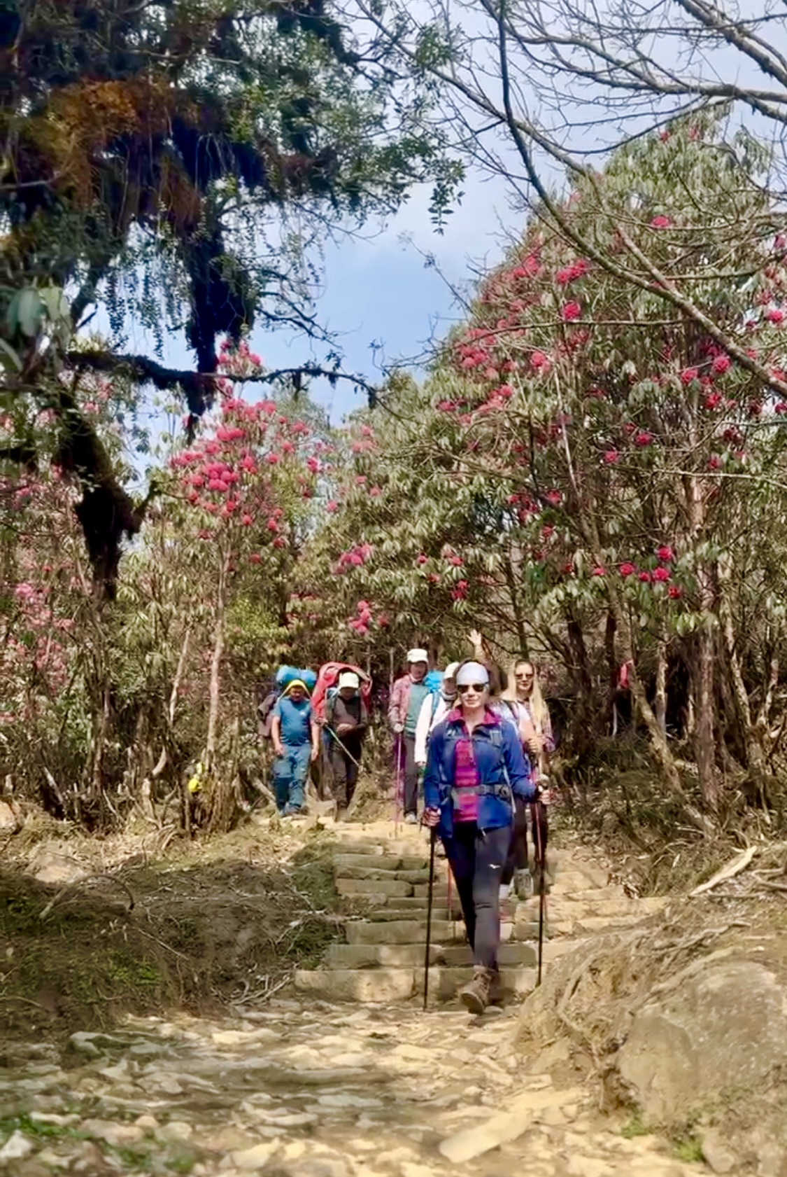 Цветок Непала (19/76)