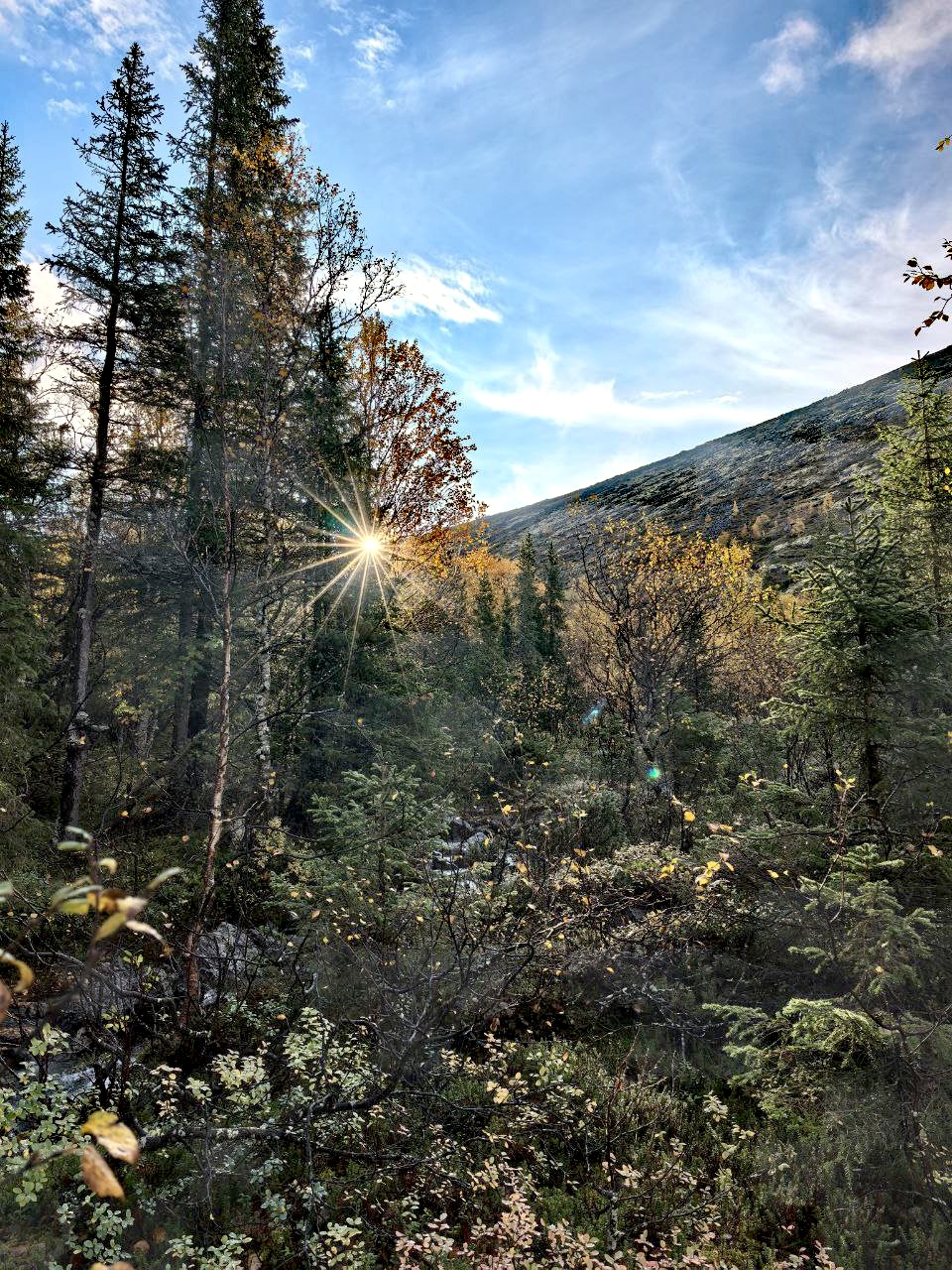 7 дней в Хибинах (3/27)