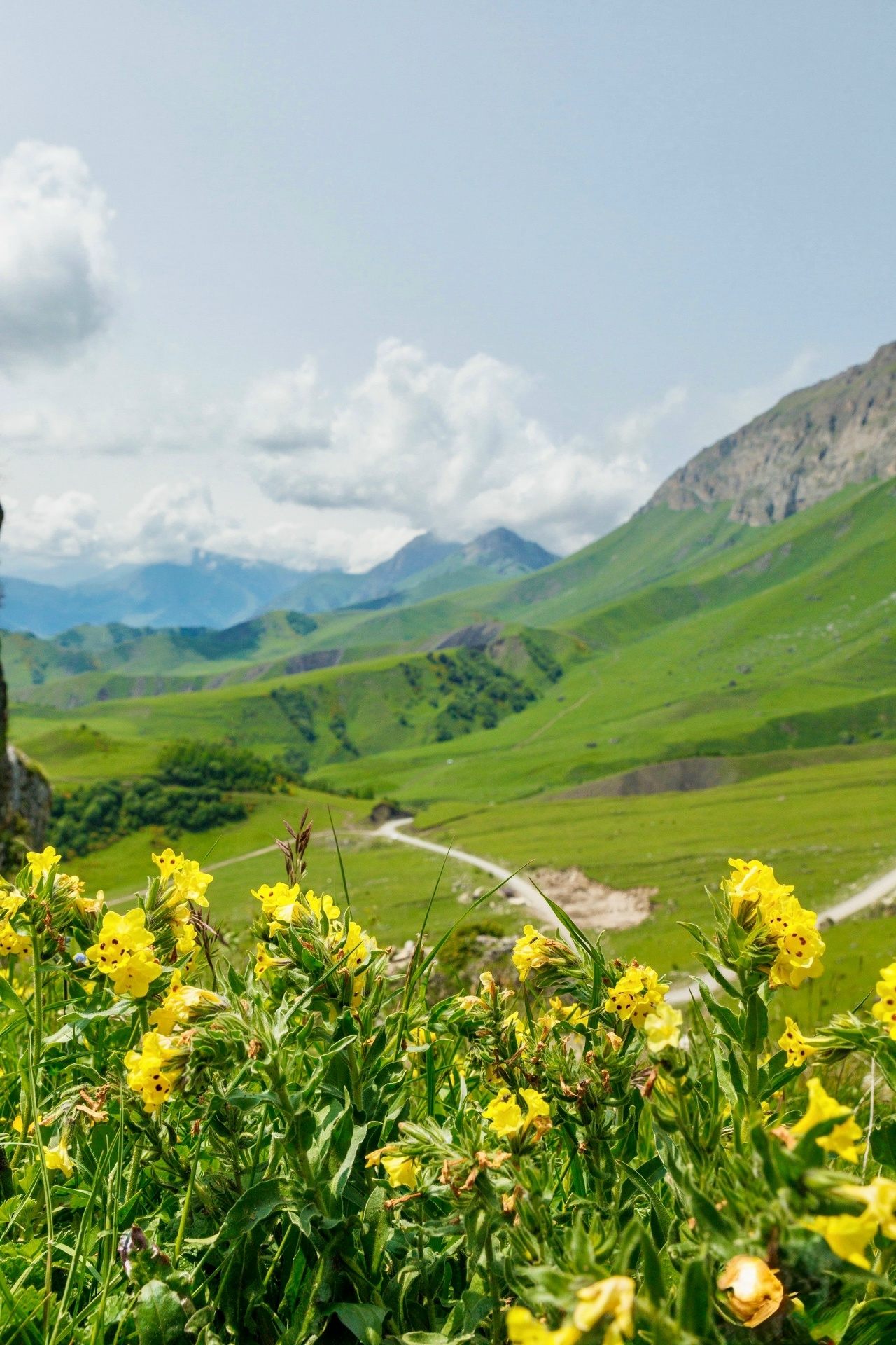 Горная Ингушетия — из Владикавказа.