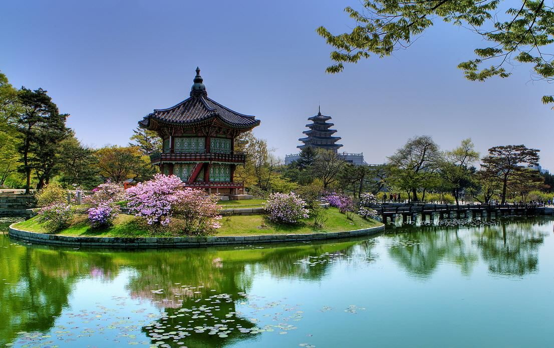 Авторский тур в Сеул Программа здоровья 24-31 Марта 2026 (4/8)