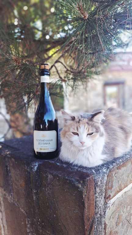 Антистресс: горы, море, пляжи. 7 дней. Все включено! (26/49)