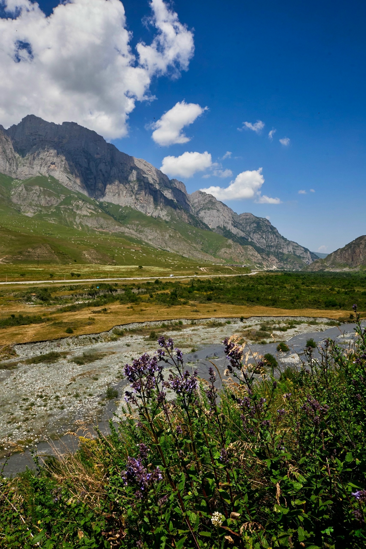 Мамисон за один день.