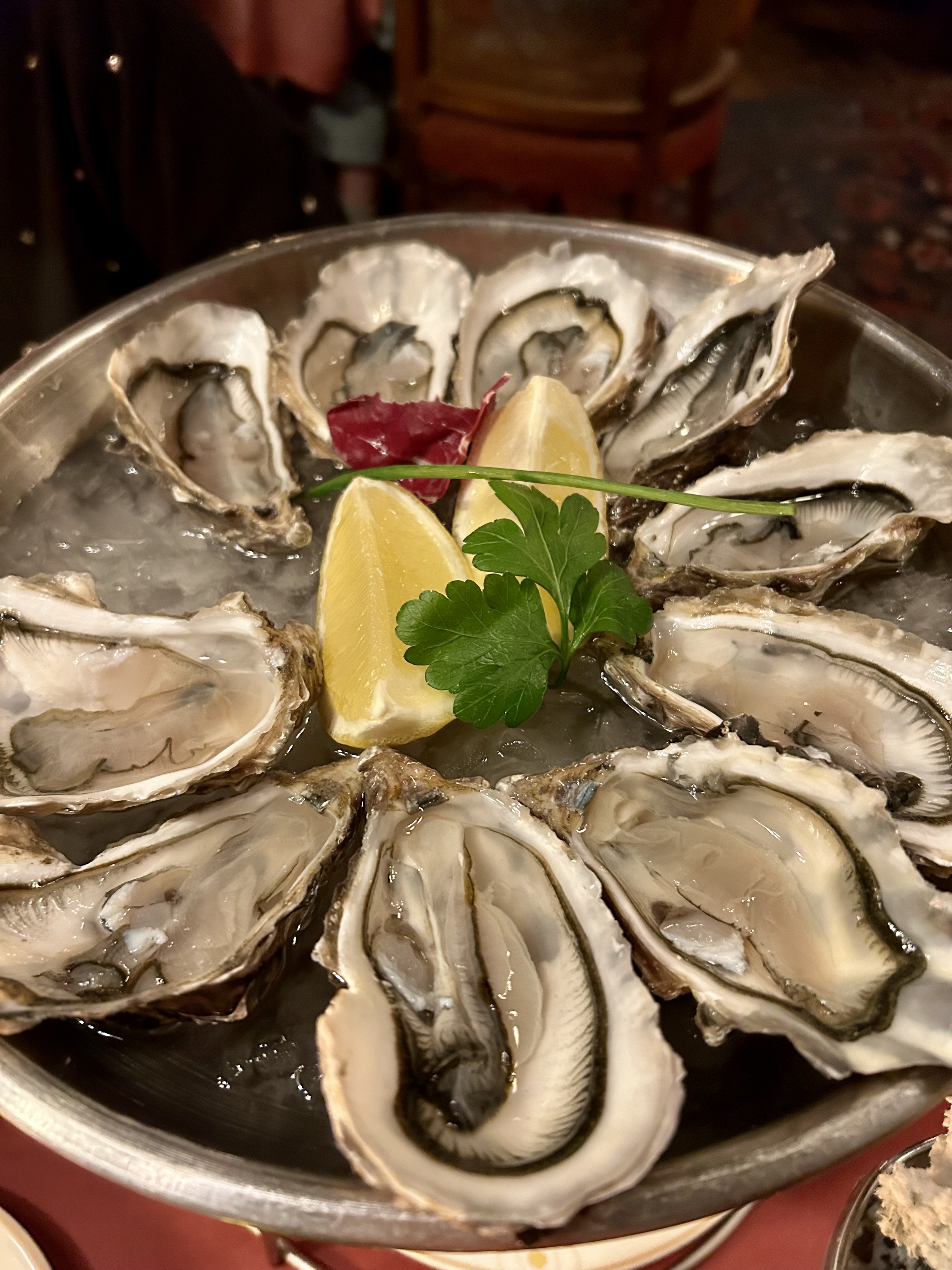 Шедевры Европы: Италия-Словения-Хорватия-Венгрия-Австрия-Чехия-Германия (пт.-ср.) (7/52)