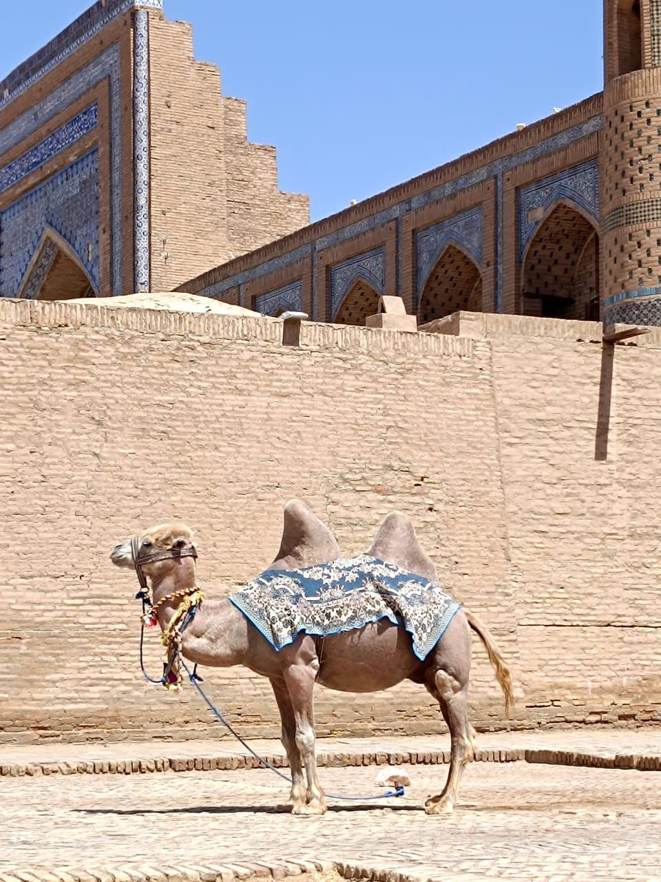 Самарканд и Бухара (Культура и история) (16/21)