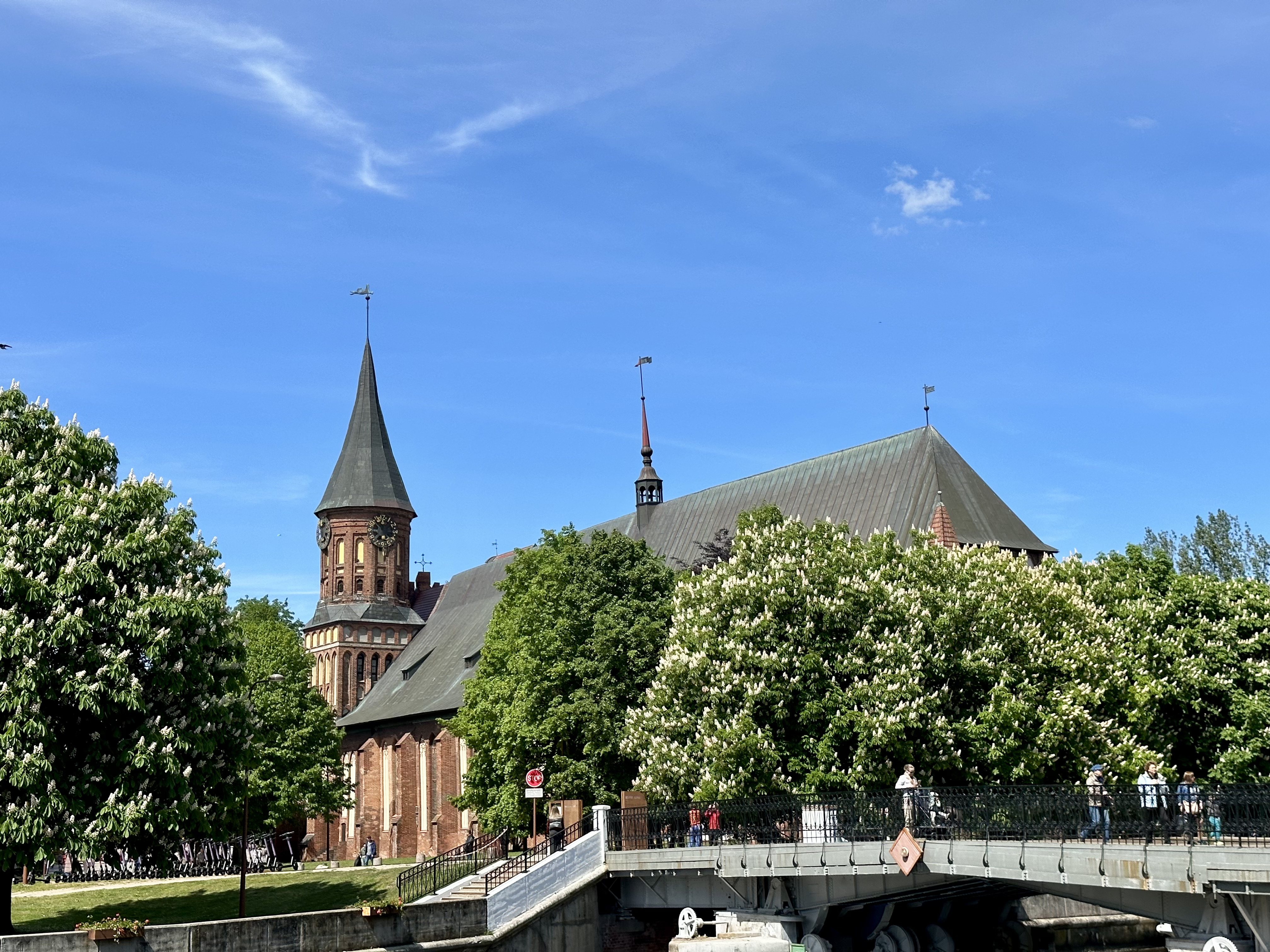 Отдохни в Калининграде Весна-Лето 2026