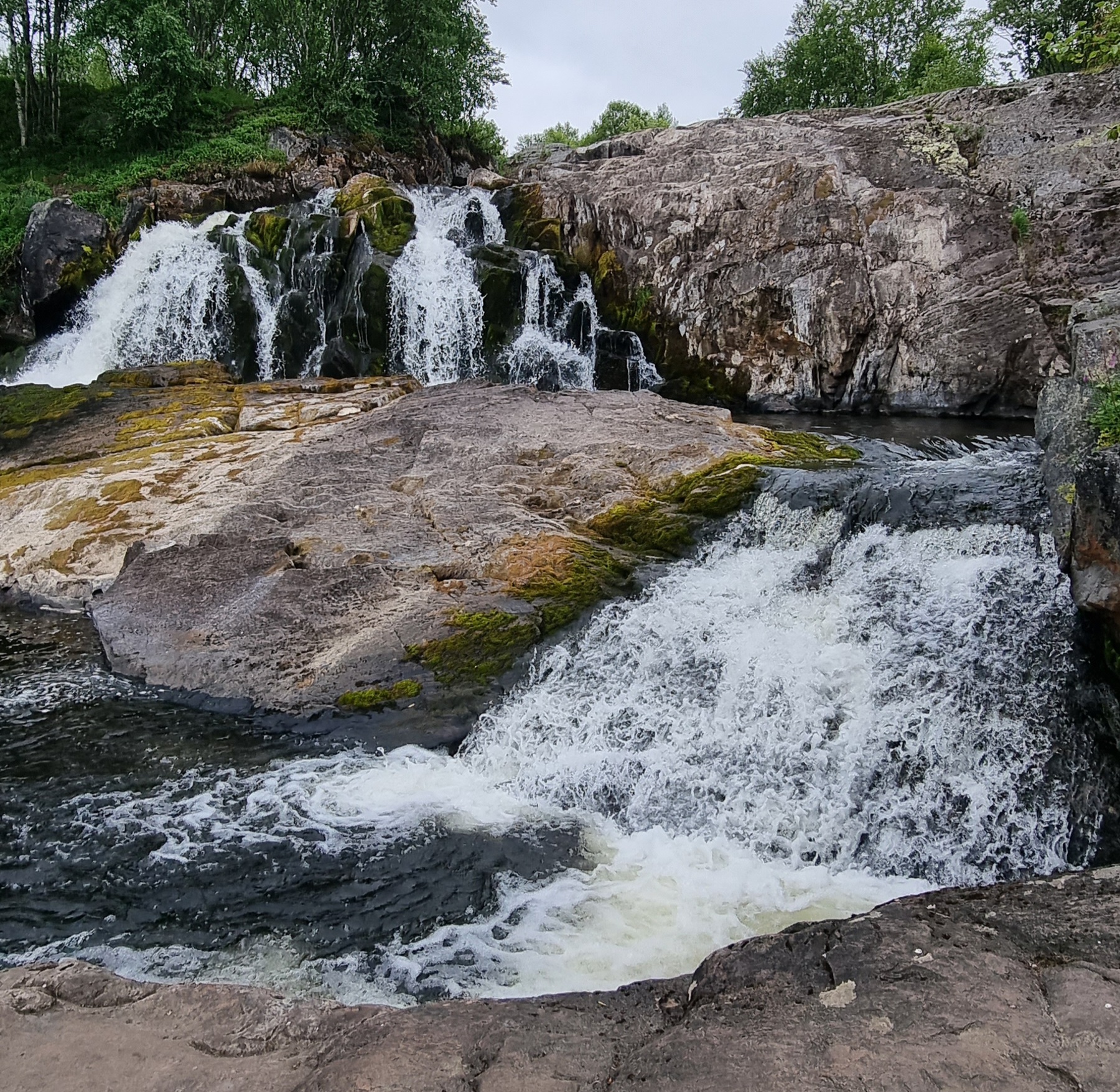В поиске Китов! Путешествие в Териберку! (13/22)