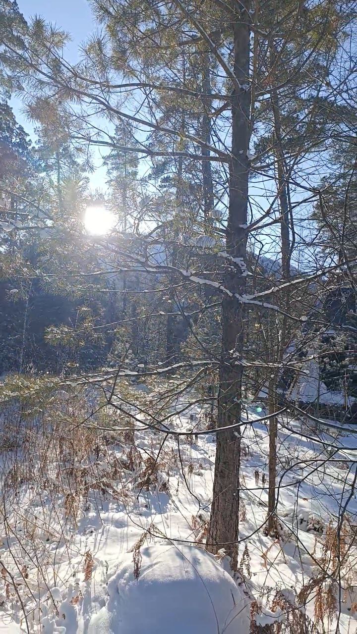 Чемал и остров Патмос (12/16)