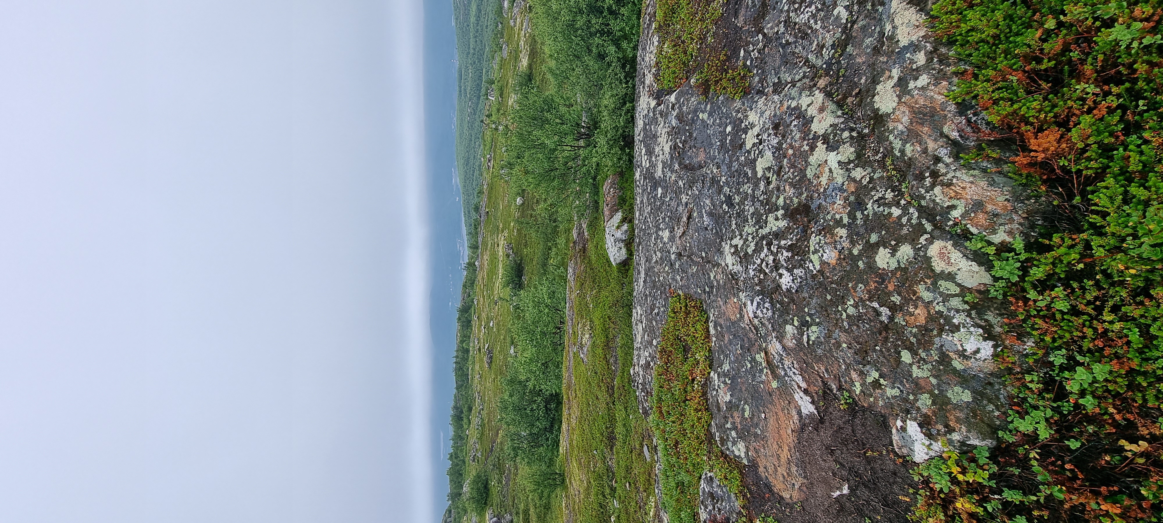 В поиске Китов! Путешествие в Териберку! (17/22)