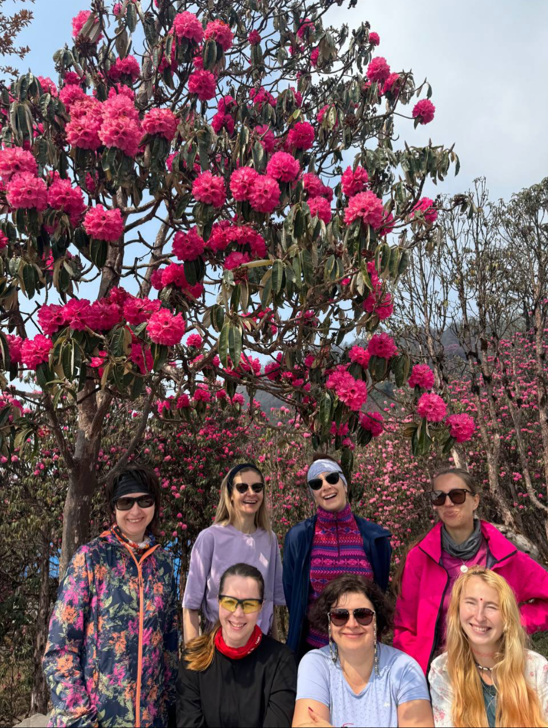 Цветок Непала (20/76)