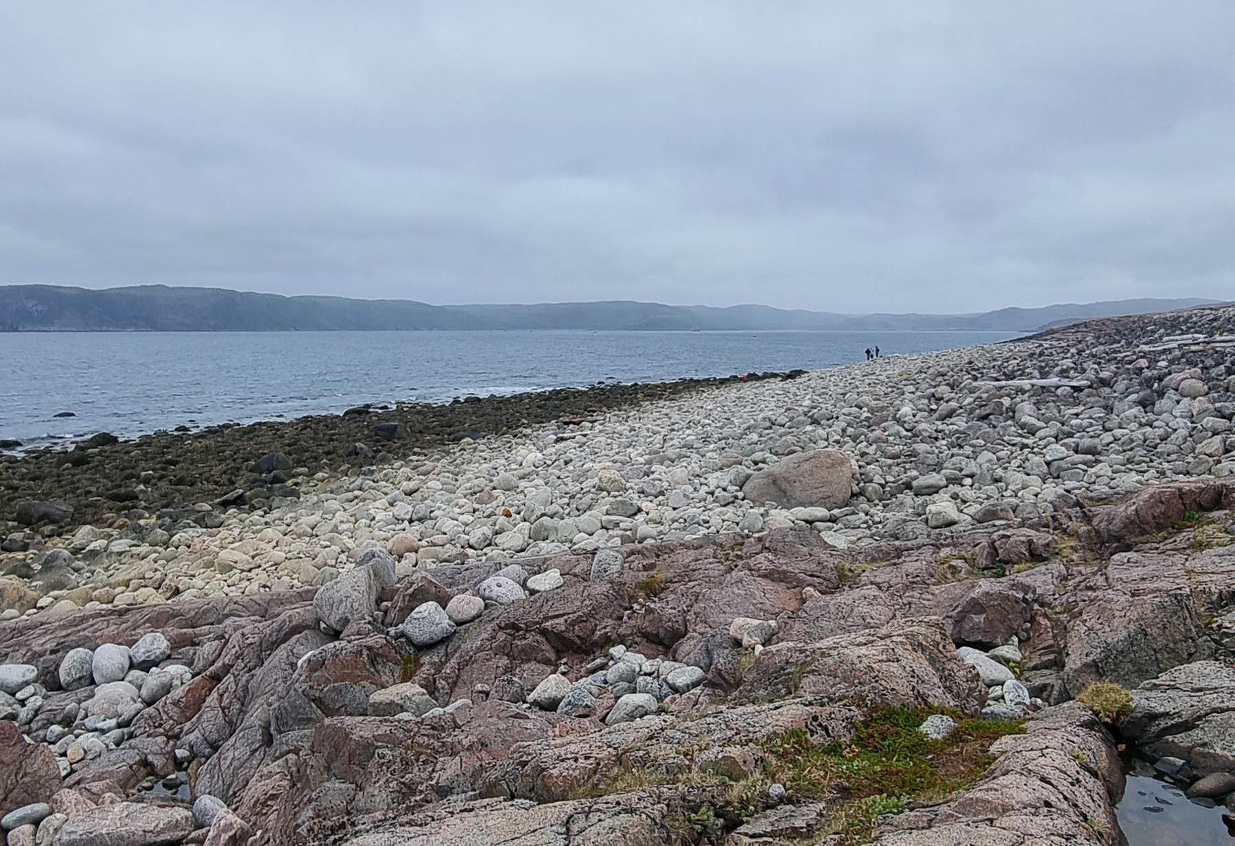 В поиске Китов! Путешествие в Териберку! (15/22)