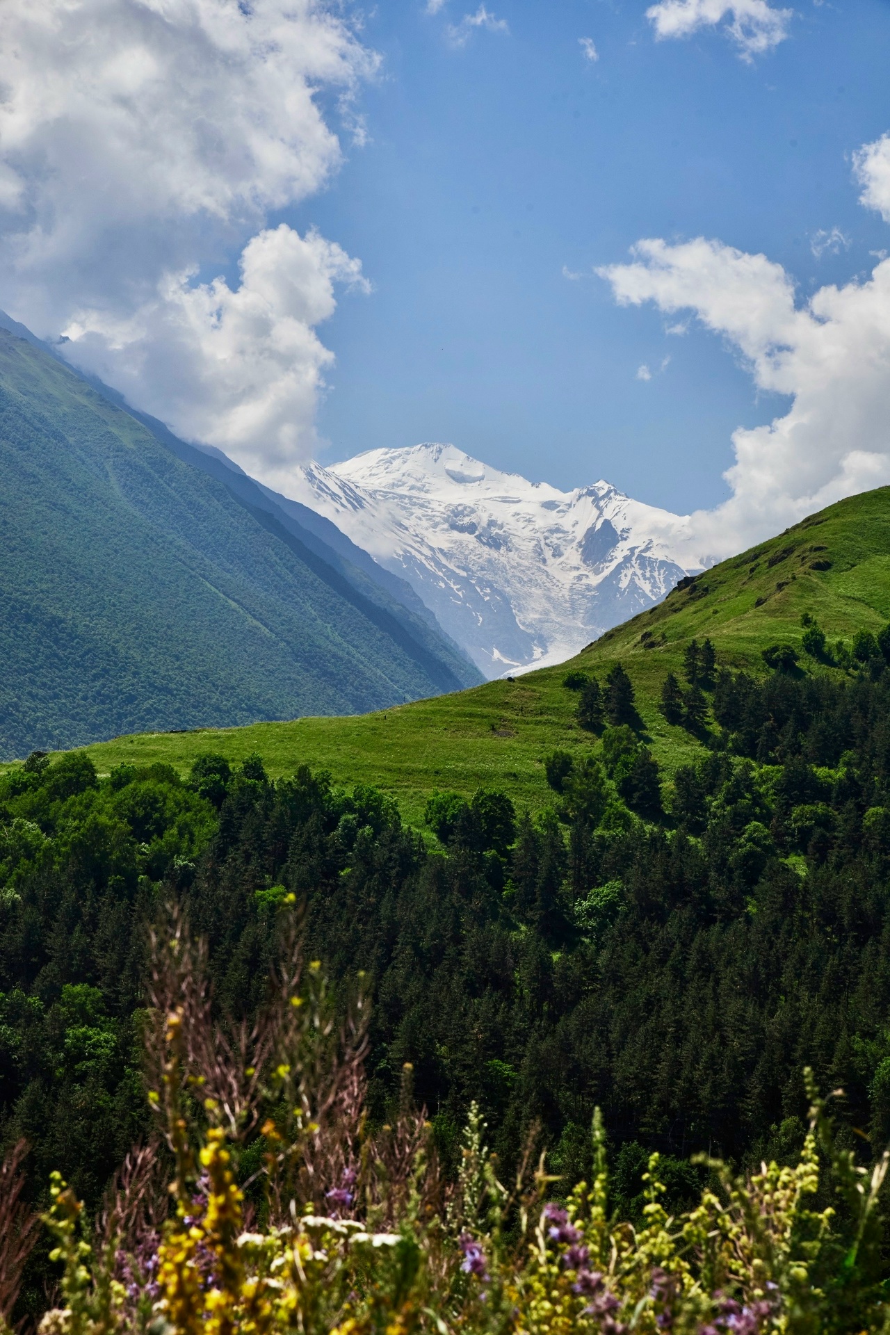 Автобусная экскурсия в Цей!
