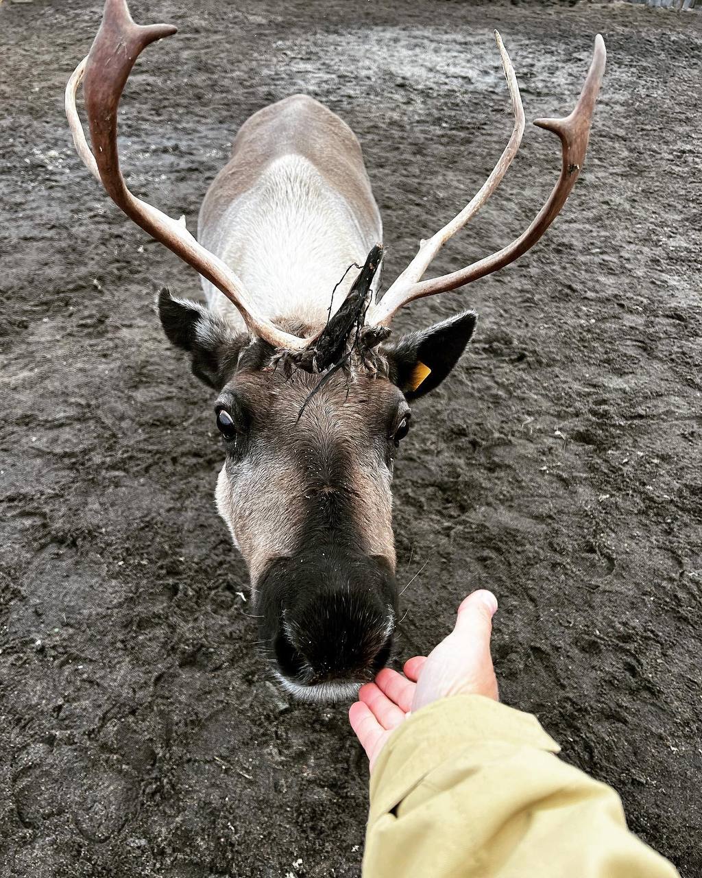 Кольский полуостров за 3 дня, Териберка, Хибины, Мурманск. (5/12)
