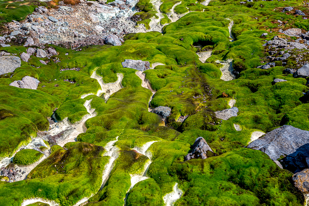 Четыре вулкана Курильских островов. Путешествие на другую планету (139/186)