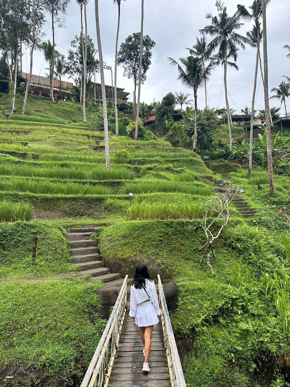 Тусим на Бали. Бали+Гили (3/29)