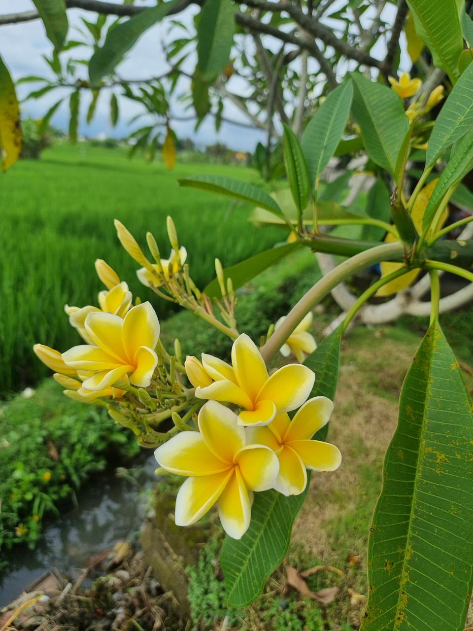 Активация Чувствования себя - Ретрит, меняющий Жизнь (11/12)