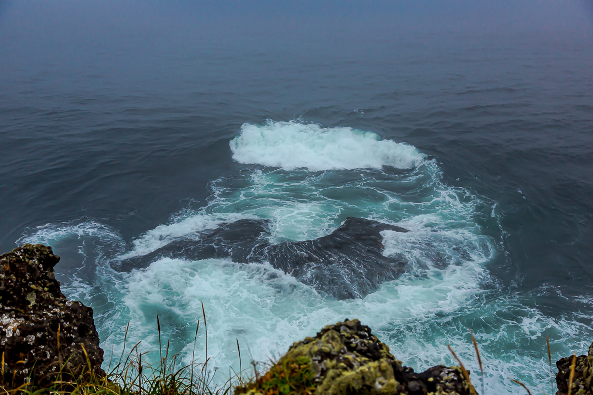 Лучшее на Шикотане. Путешествие на другую планету (69/126)