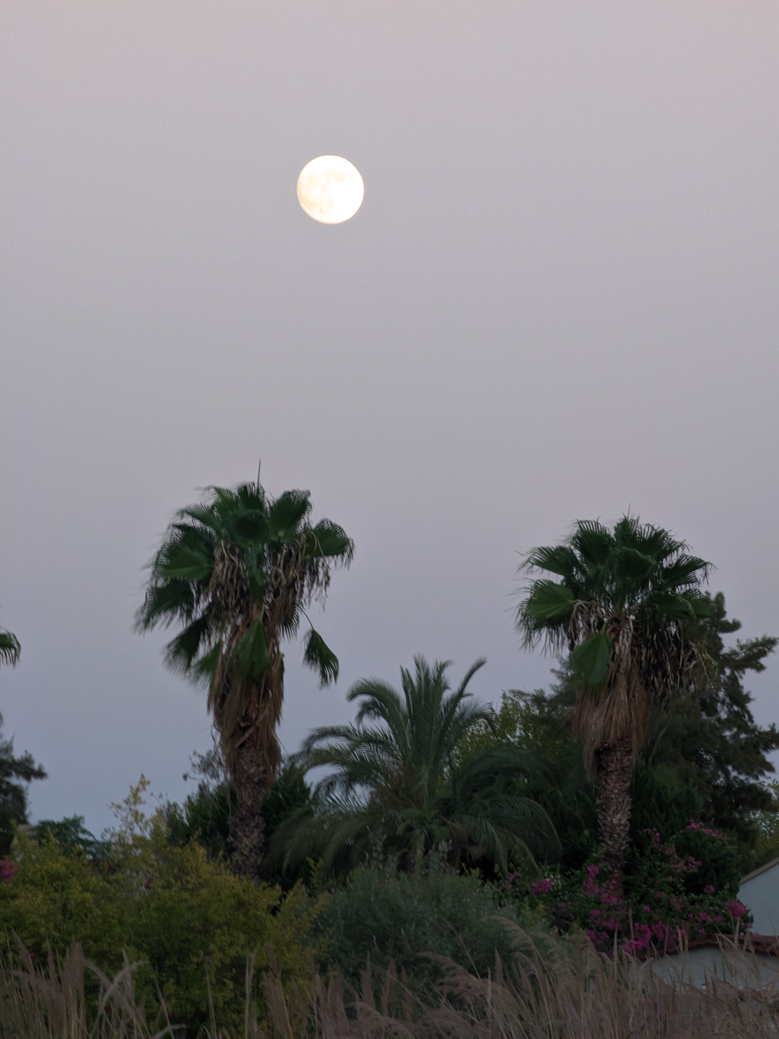 Восточная Ликийская тропа от Химеры до Миры (2/21)