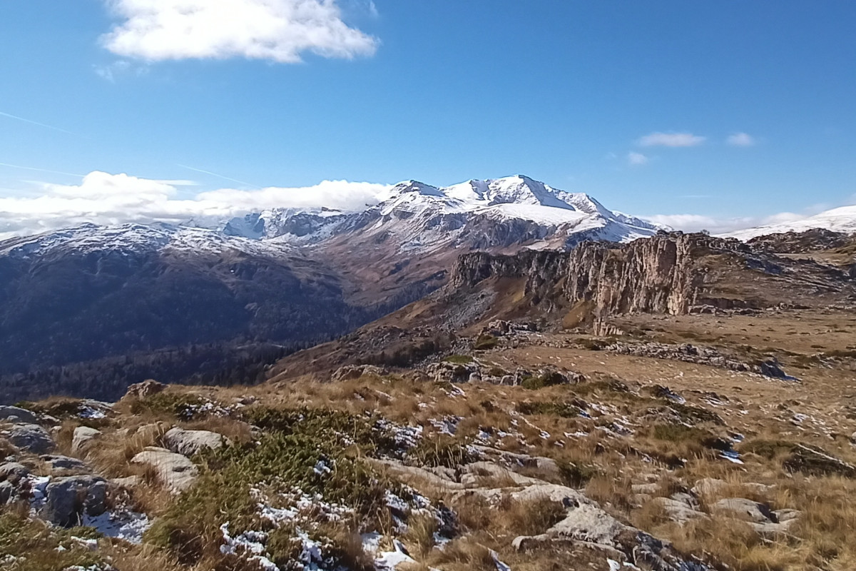 Адыгейский кот. Восхождение на Фишт, Оштен, Пшехо-су (13/15)