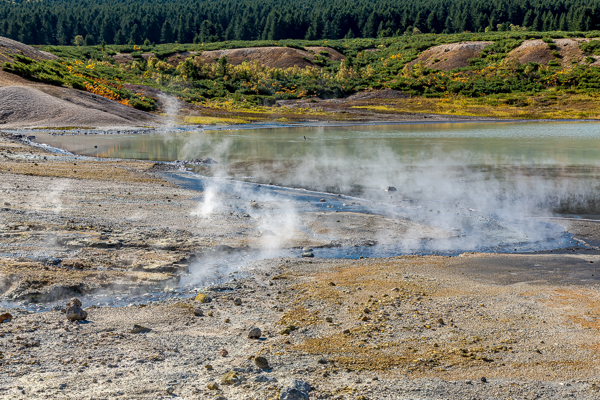 Кунашир и Хабомаи. Путешествие на другую планету (67/142)