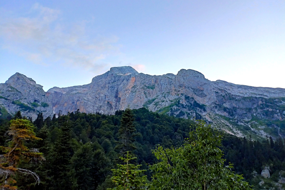Адыгейский кот. Восхождение на Фишт, Оштен, Пшехо-су (6/15)
