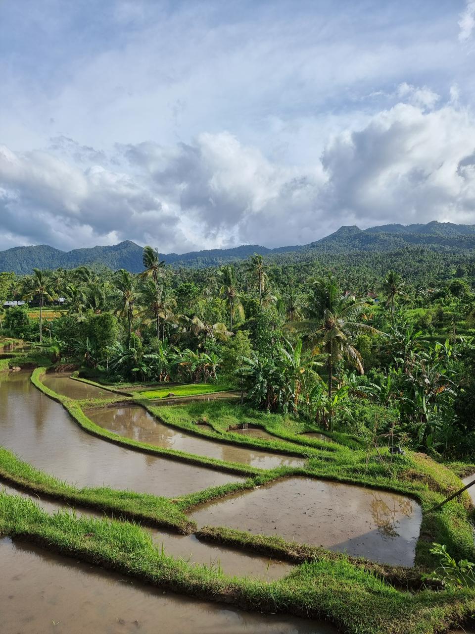 Активация Чувствования себя - Ретрит, меняющий Жизнь (2/12)