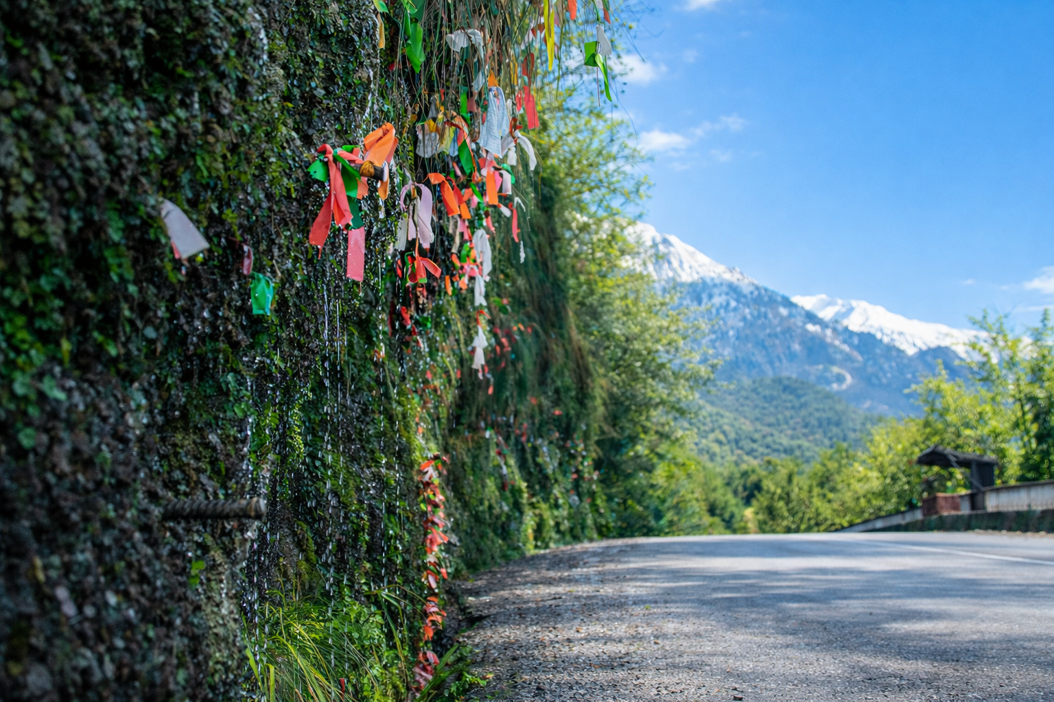 Абхазский калейдоскоп 6 дней активного отдыха у моря и в горах (7/24)