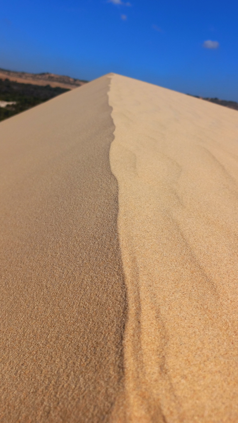 Южный Вьетнам: яркое путешествие от Сайгона до Муйне (5/42)