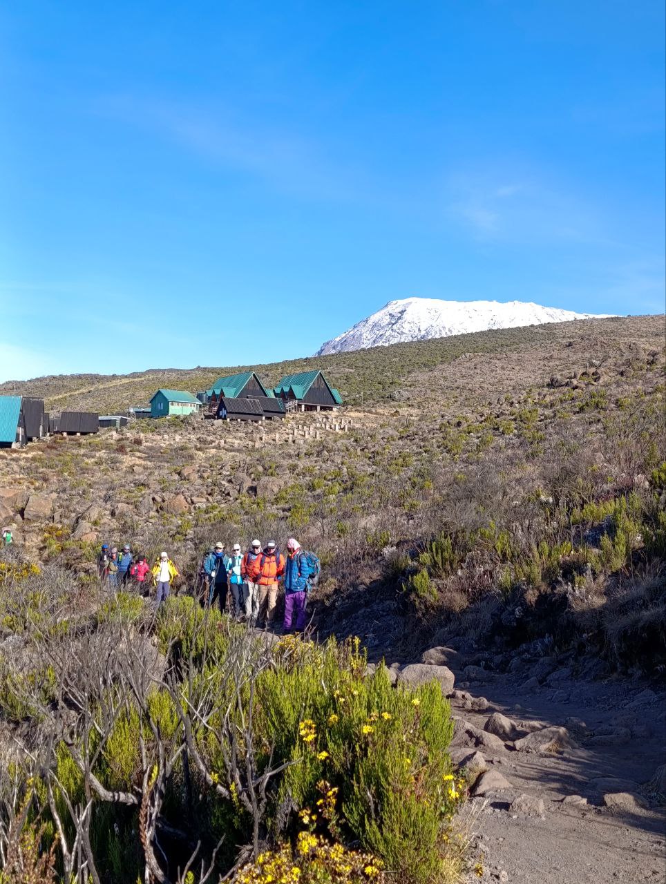 Танзания. Восхождение на Килиманджаро (11/37)