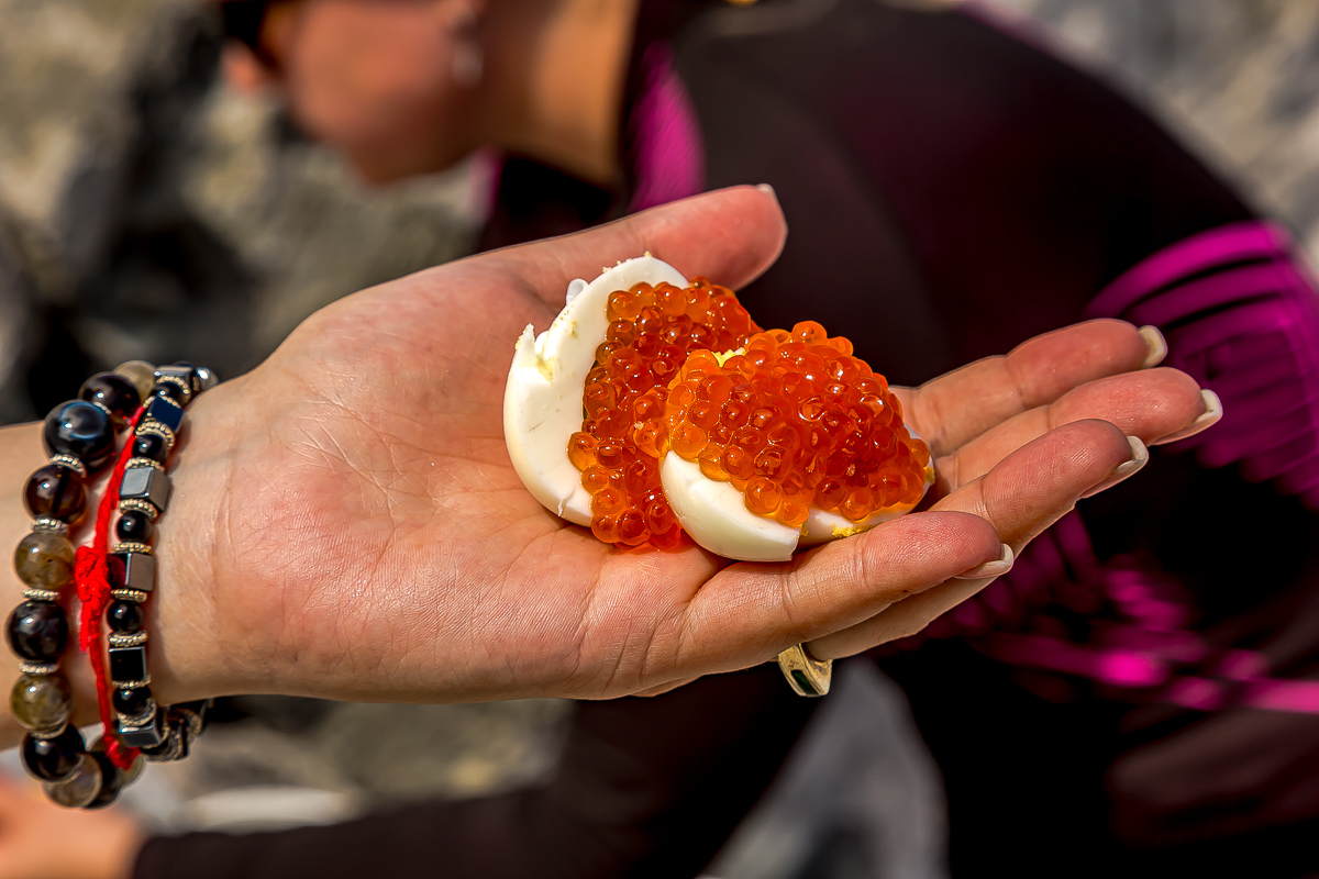 Итуруп и Кунашир. Путешествие на другую планету. (117/193)