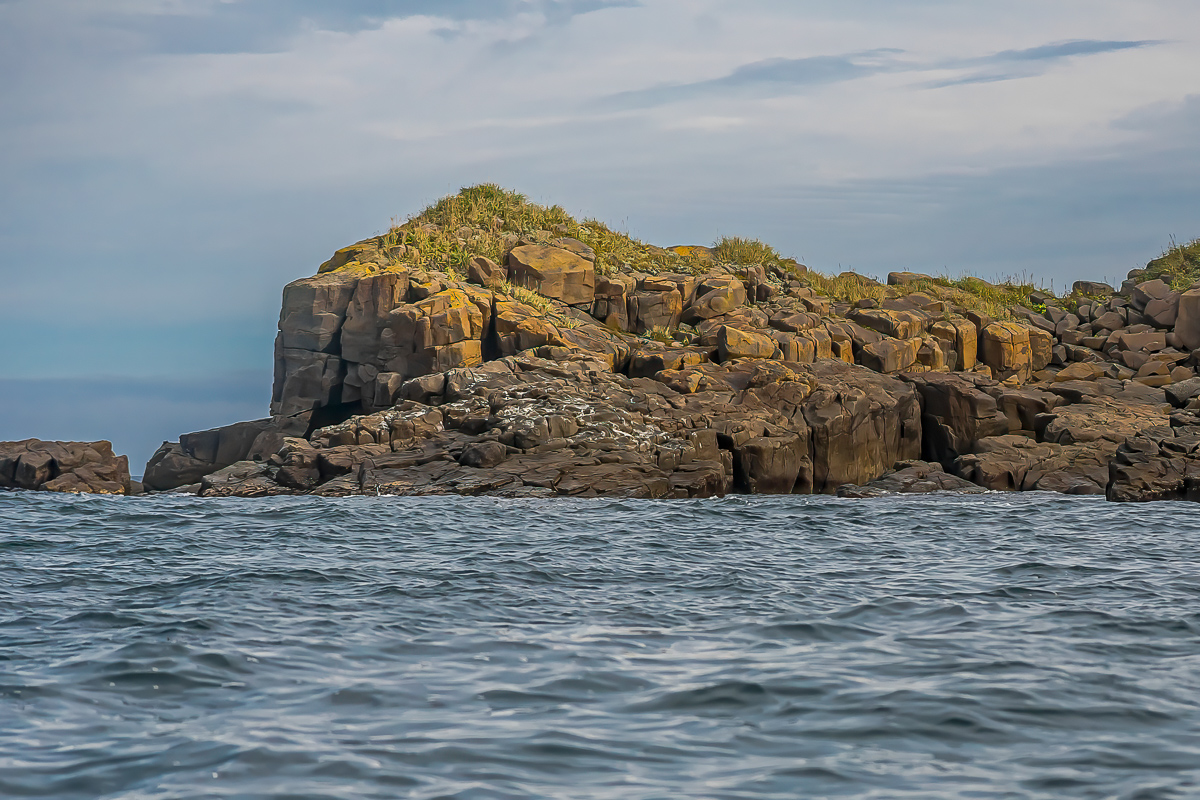 Кунашир, Шикотан и Хабомаи. Путешествие на другую планету (63/171)