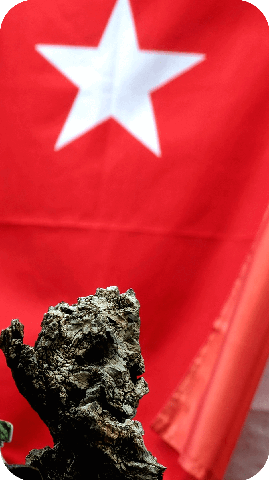 Восточная Ликийская тропа от Химеры до Миры (19/21)