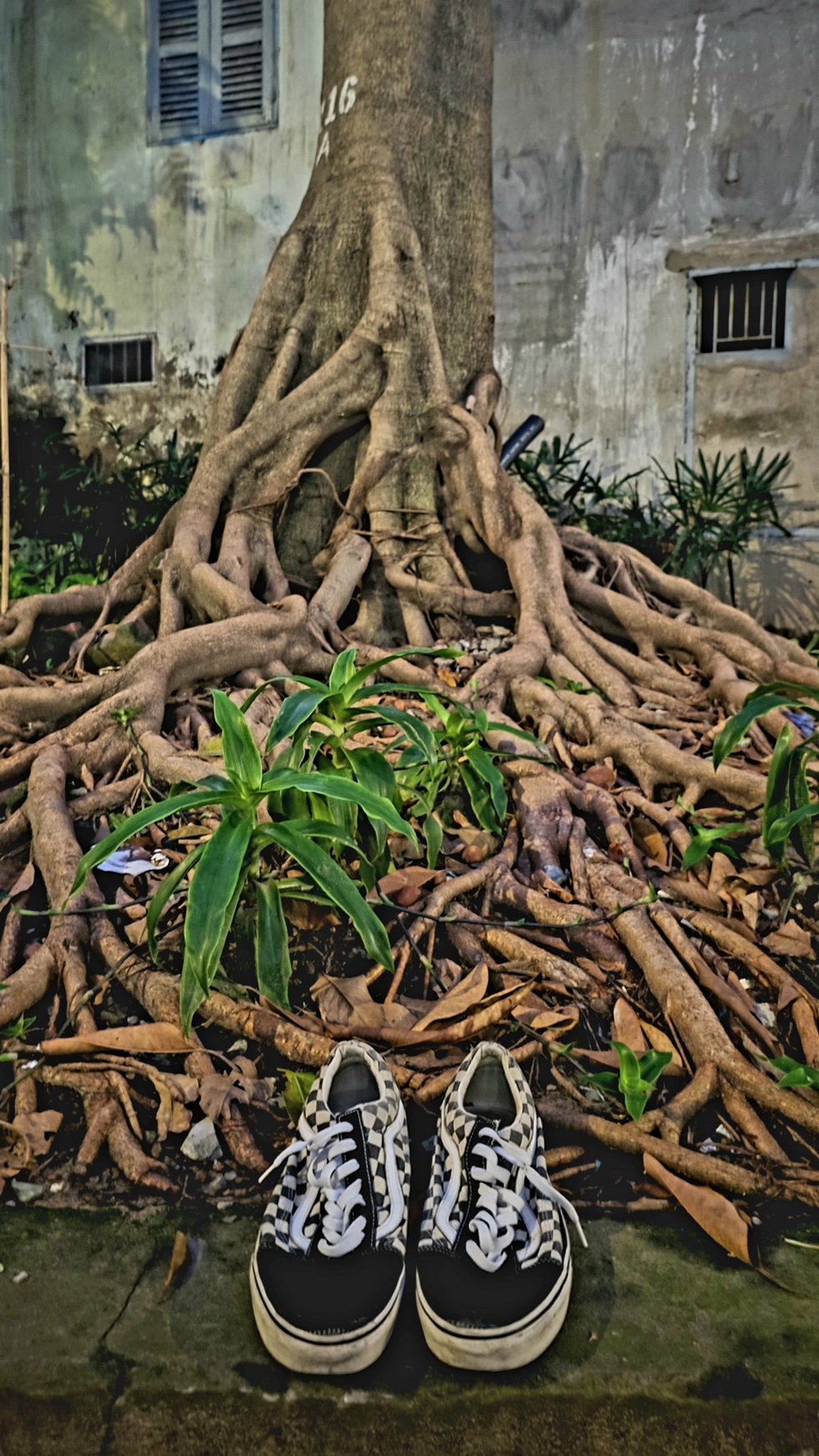 Южный Вьетнам: яркое путешествие от Сайгона до Муйне (8/42)