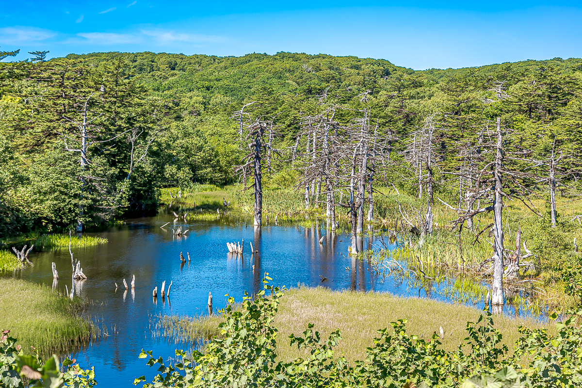 Интенсивный Итуруп. Путешествие на другую планету (95/117)