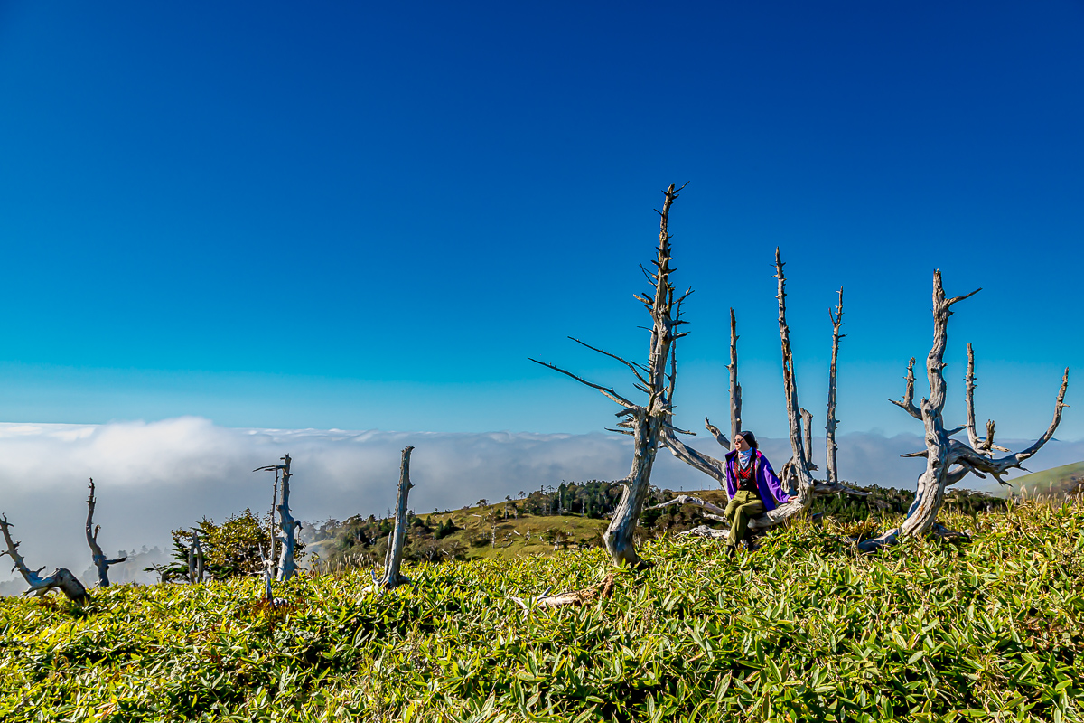 Итуруп и Шикотан. Путешествие на другую планету. (95/148)