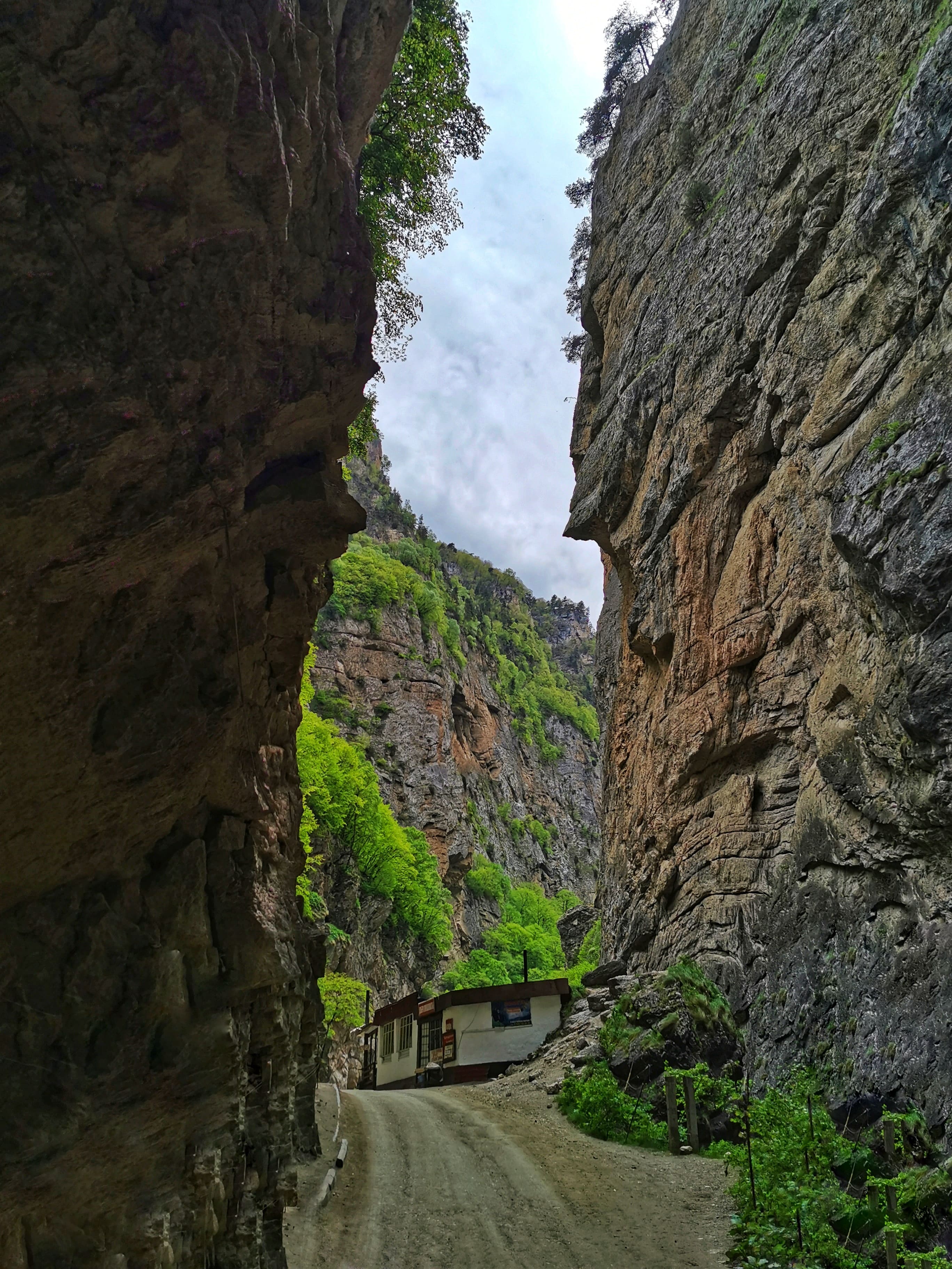 Авторский тур Чудеса Кавказа - 8 марта в Приэльбрусье! (58/73)