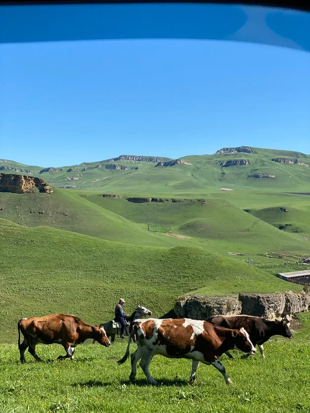 Тур на Кавказ 4 дня (3/11)