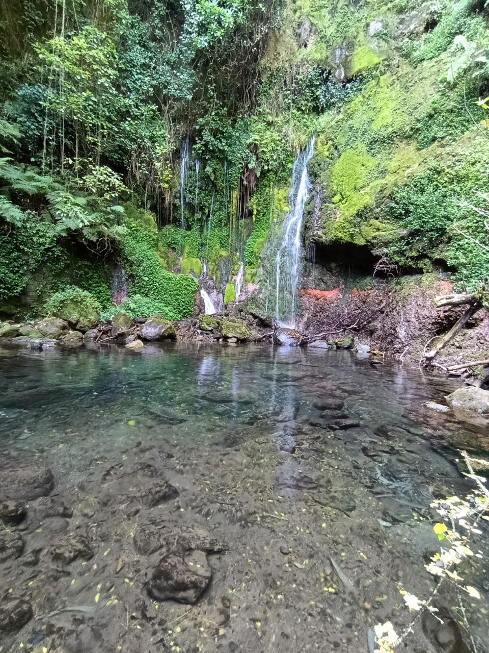 Танзания. Восхождение на Килиманджаро (10/37)