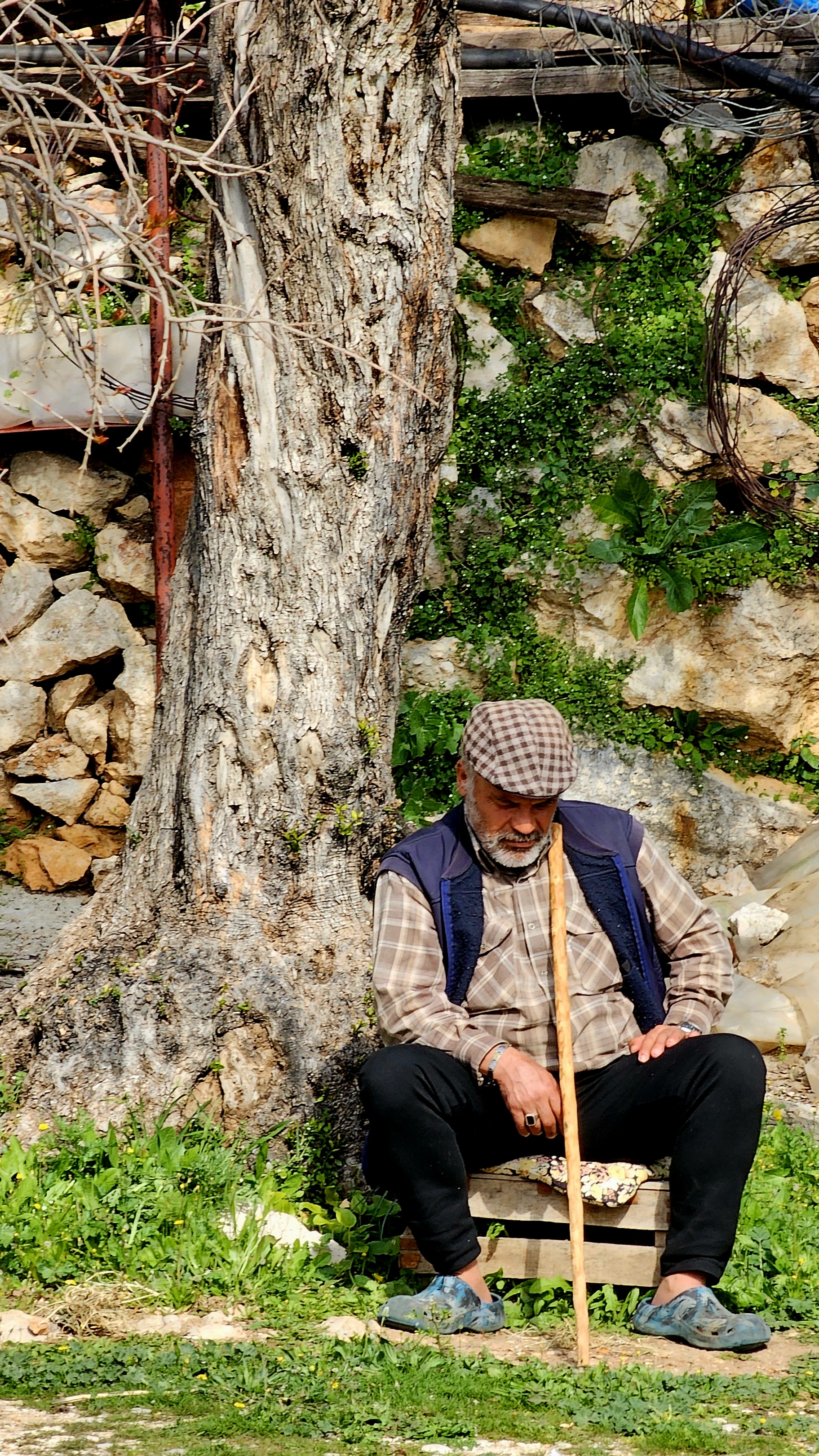 Западная Ликийская тропа от Олюдениза до Каша (14/19)