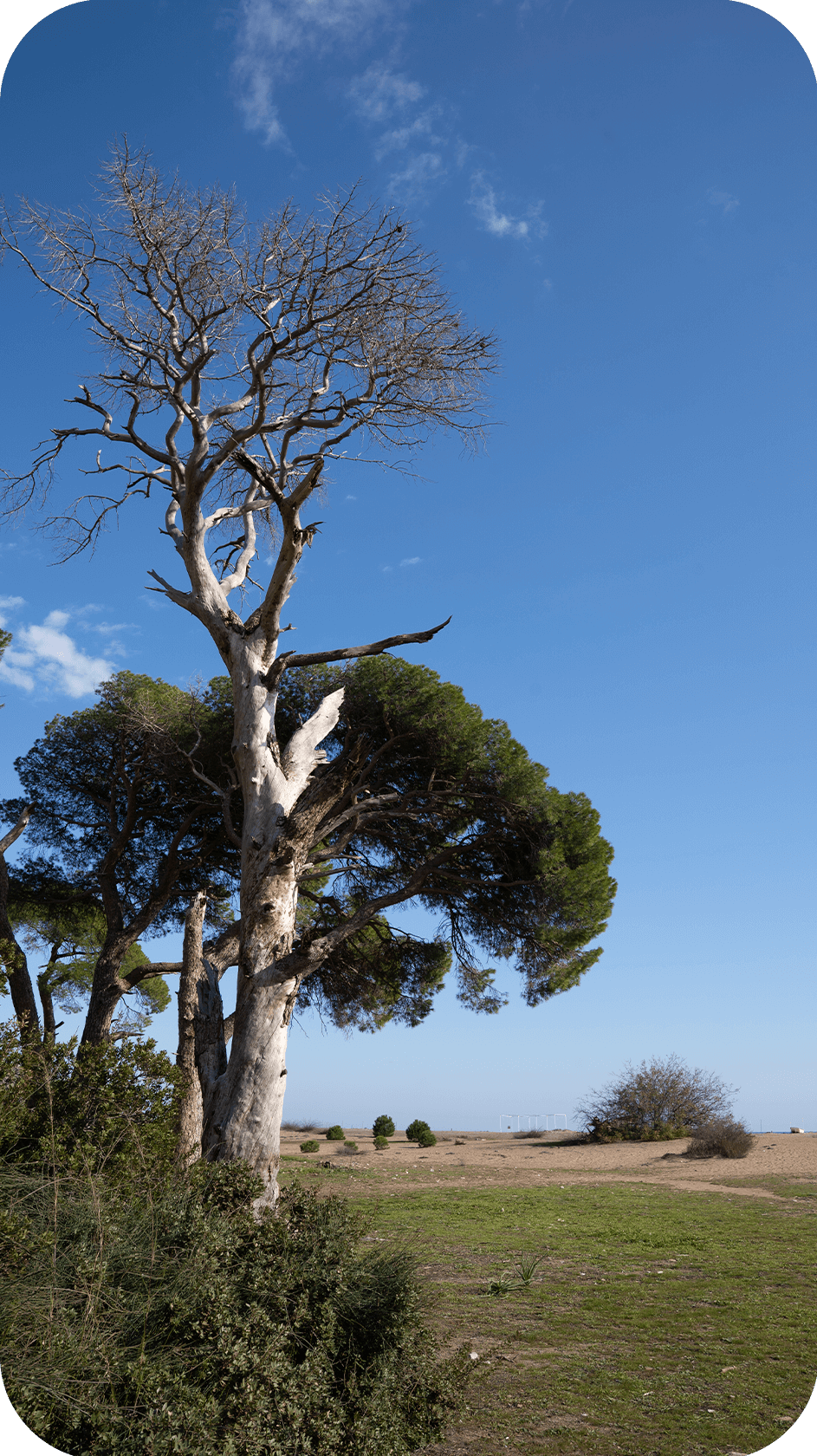 Восточная Ликийская тропа от Химеры до Миры (5/21)
