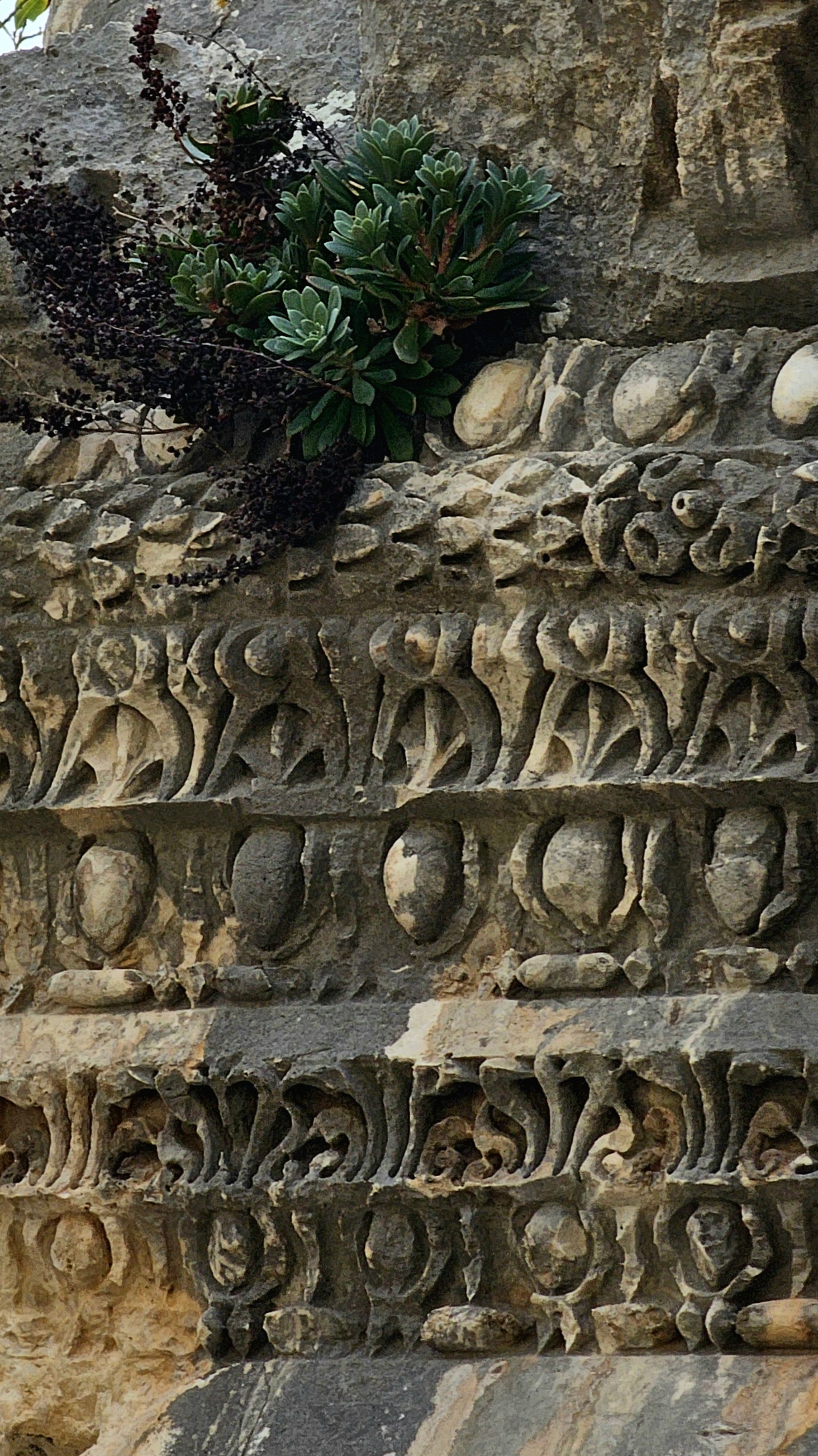 Западная Ликийская тропа от Олюдениза до Каша (13/19)