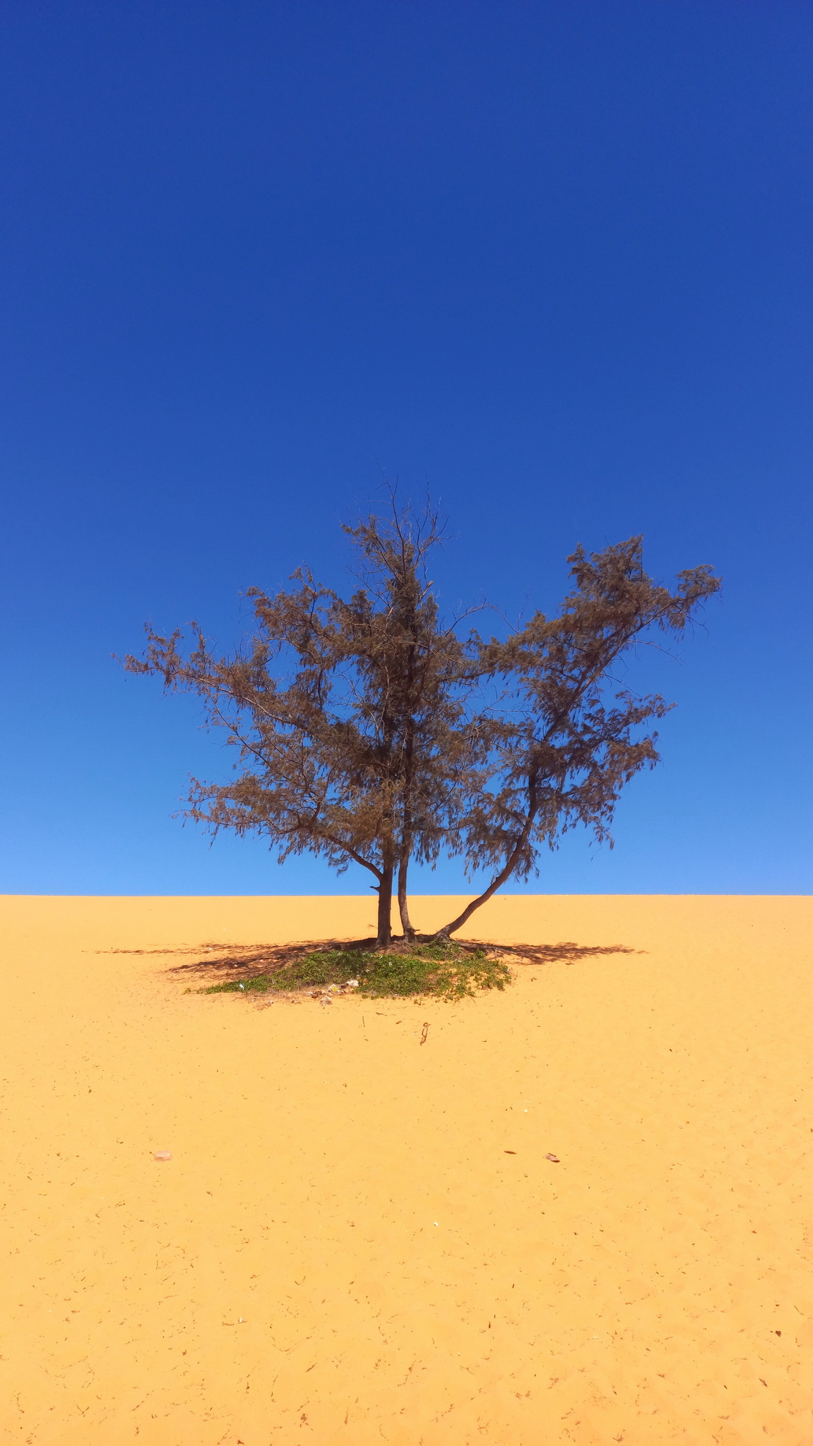 Южный Вьетнам: яркое путешествие от Сайгона до Муйне (6/42)