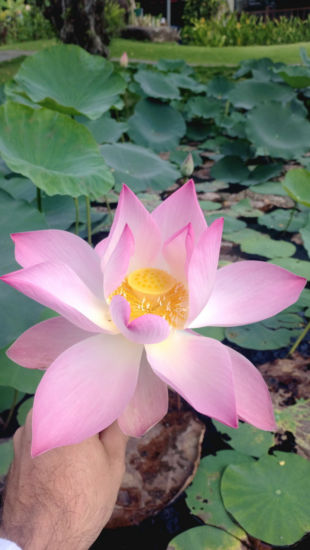 Южный Вьетнам: яркое путешествие от Сайгона до Муйне (3/42)