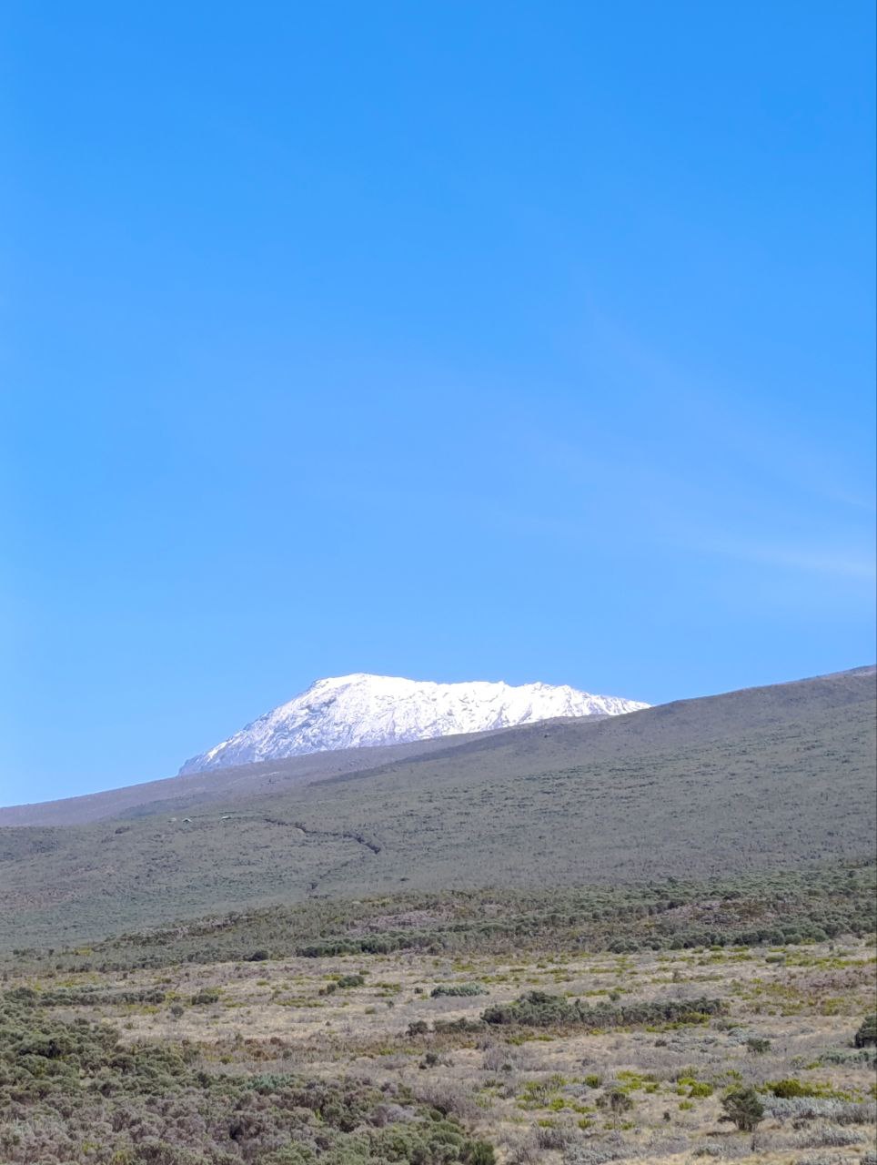 Танзания. Восхождение на Килиманджаро (7/37)