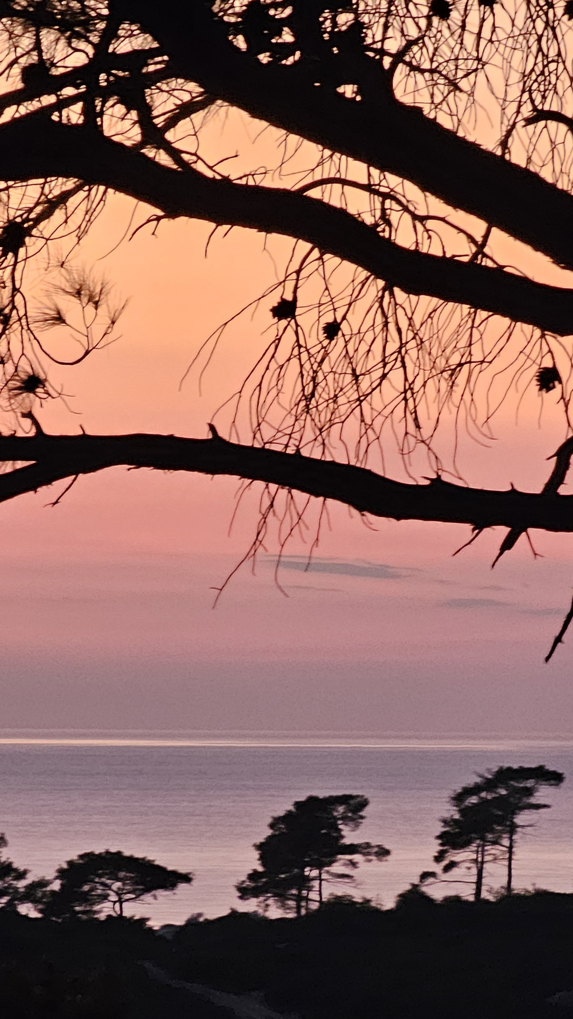 Западная Ликийская тропа от Олюдениза до Каша (11/19)