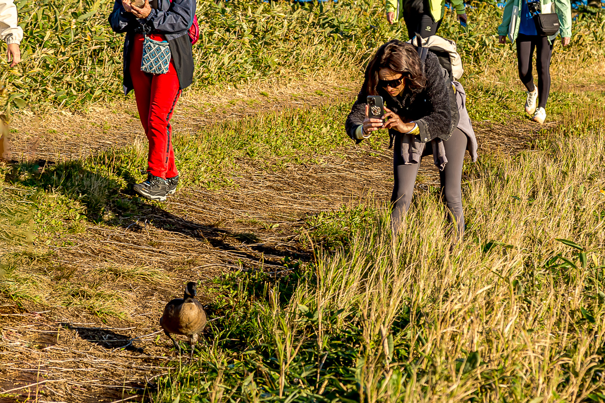 Кунашир и Шикотан. Путешествие на другую планету (59/171)