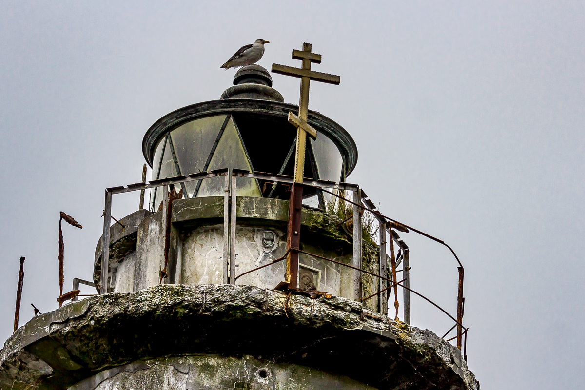 Кунашир, Шикотан и Хабомаи. Путешествие на другую планету (119/171)