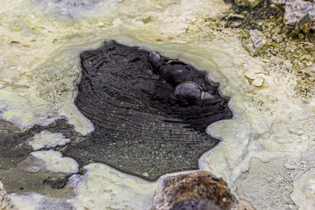 Кунашир, Шикотан и Хабомаи. Путешествие на другую планету (114/171)