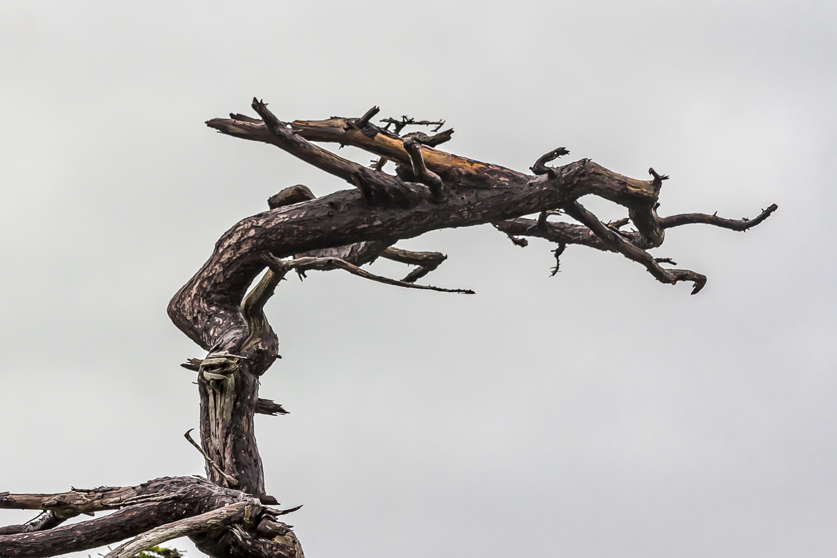 Интенсивный Итуруп. Путешествие на другую планету (88/117)