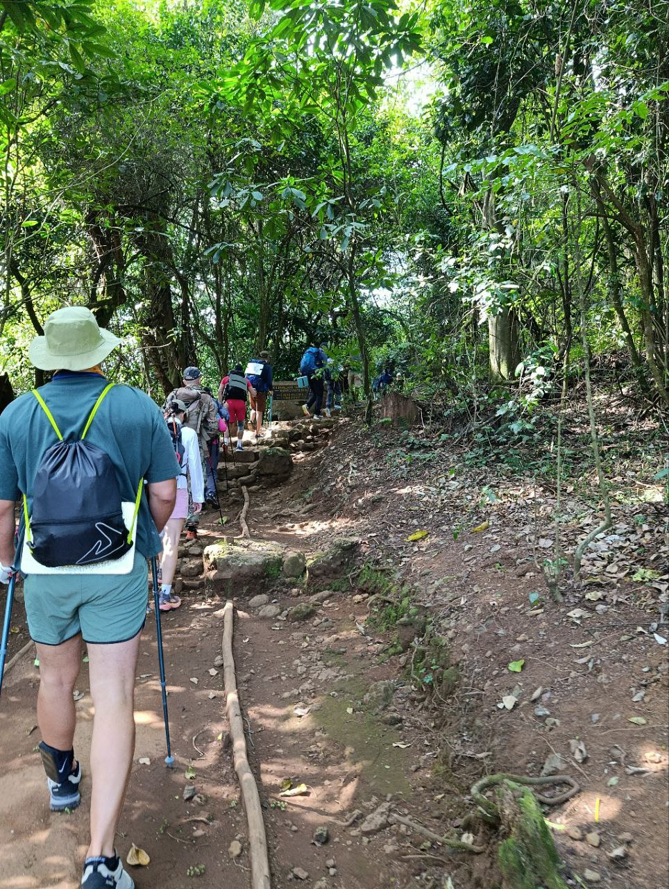 Танзания. Восхождение на Килиманджаро (15/37)