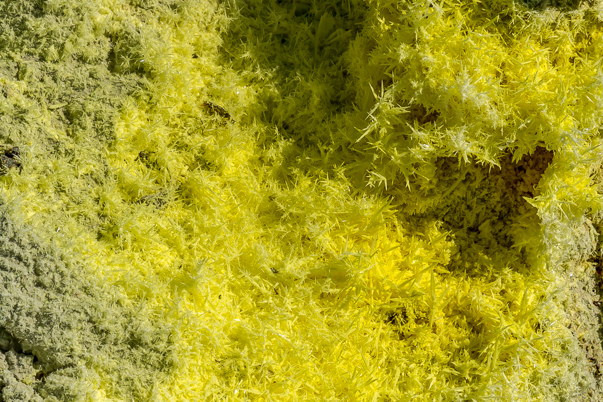 Кунашир и Шикотан. Путешествие на другую планету (84/171)